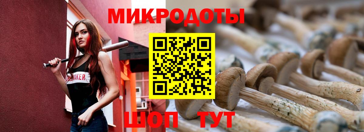Псилоцибиновые грибы GOLDEN TEACHER  Вход с VPN  Псилоцибиновые грибы ЛСД  Рузаевка 