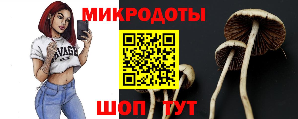 Псилоцибиновые грибы Psilocybine cubensis Рузаевка